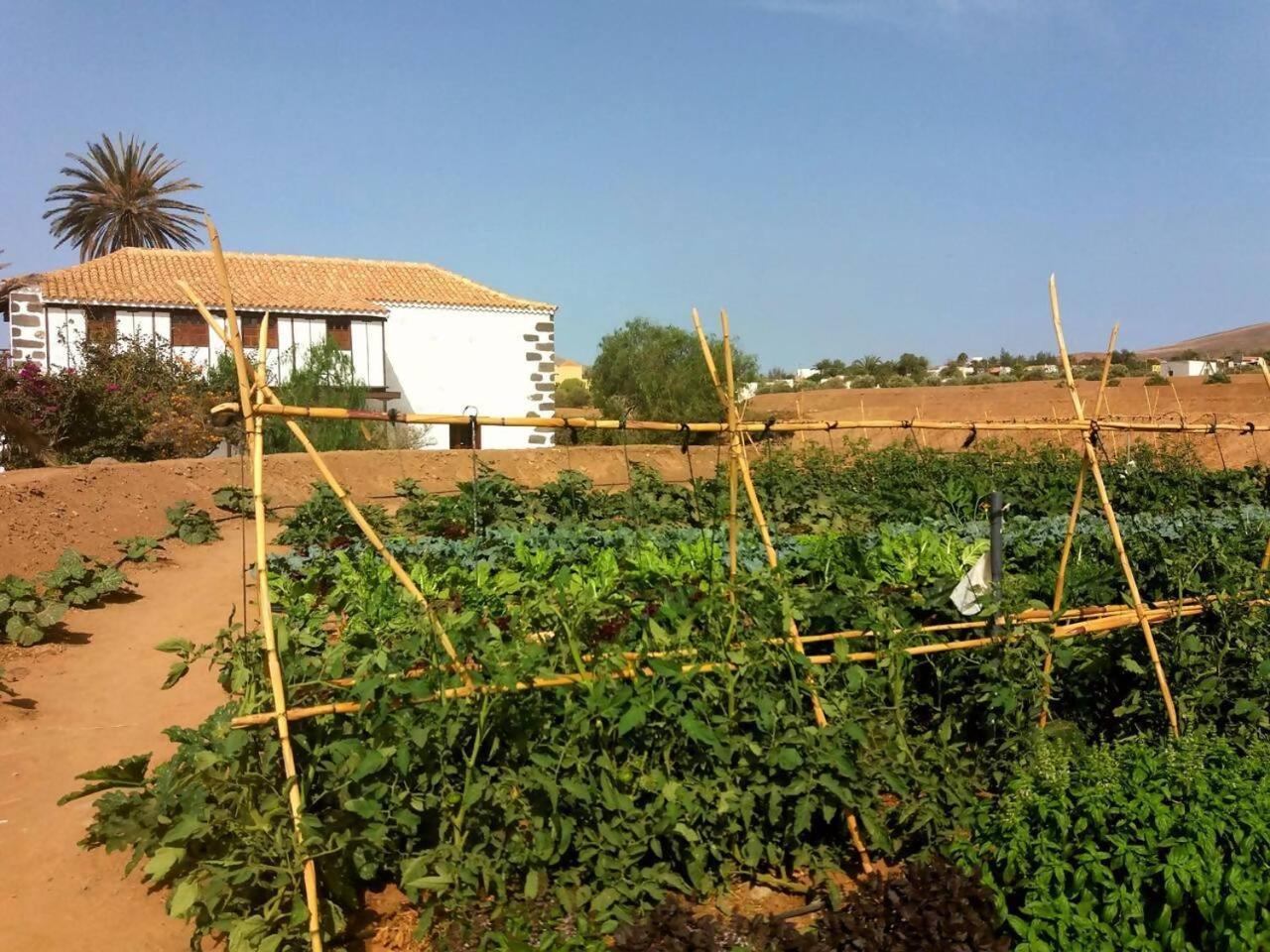 Villa Rural Rugama à Puerto del Rosario  Extérieur photo