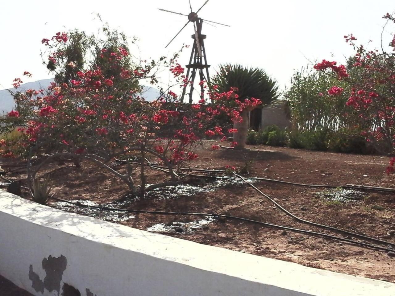 Villa Rural Rugama à Puerto del Rosario  Extérieur photo